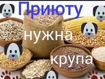 Нужны крупы