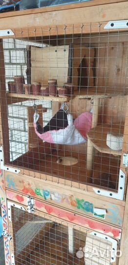 Клетка для шиншиллы бу