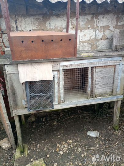 Клетка для кроликов