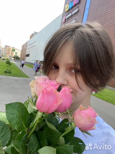 Выгул собак