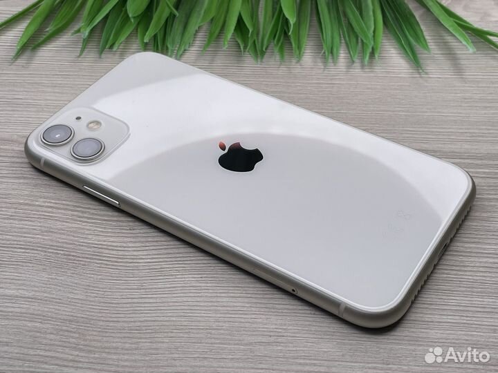 iPhone 11 64GB White