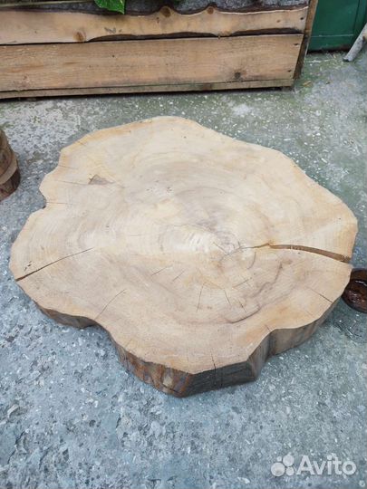 Спилы дерева