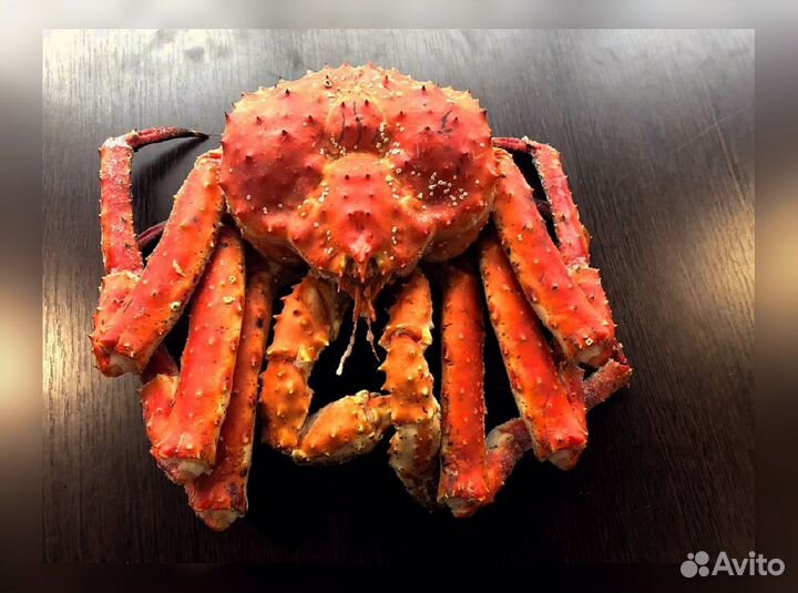 Краб Камчатский