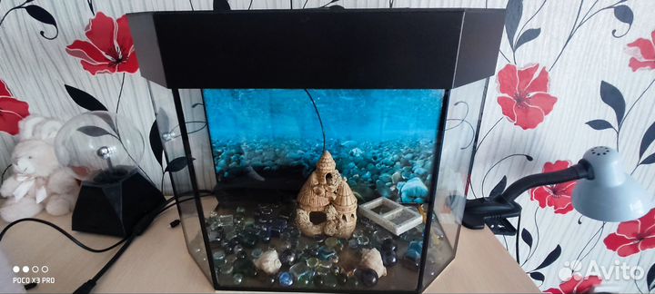 Аквариум