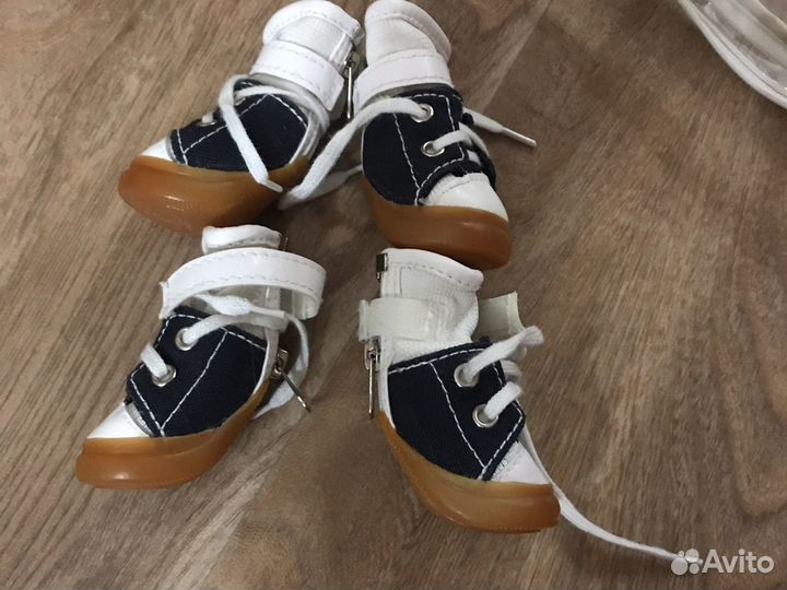 Обувь для собак и котов