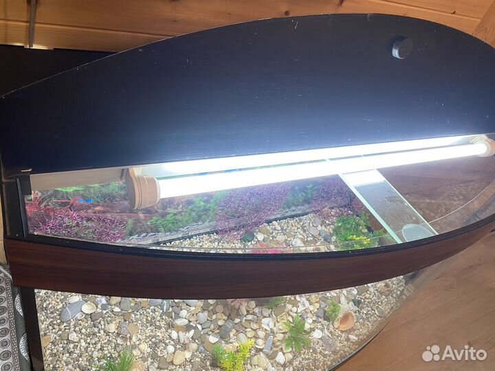 Аквариум с тумбой 350 литров и освещением