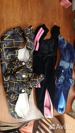 Одежда для маленьких пород собак