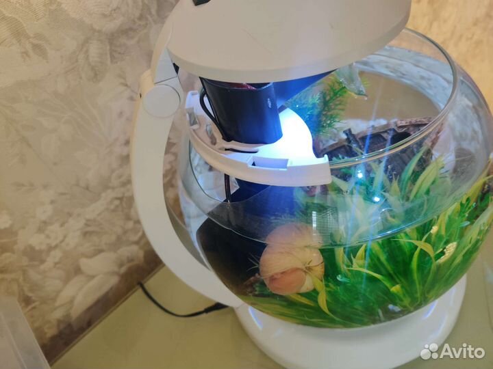 Аквариум круглый Тетра 6,8 л