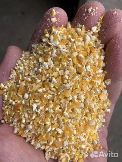 Кукуруза, Ячмень,Горох,отруби, жмых, пшеница