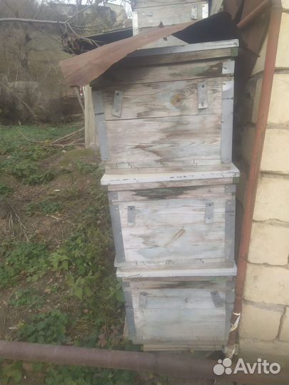 Ульи для пчел