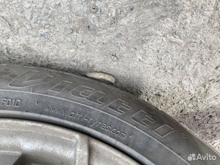 Viatti Strada Asimmetrico 205/55 R16