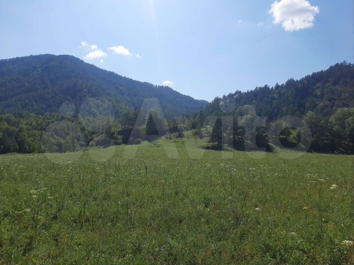 Участок 4,69 га (СНТ, ДНП)