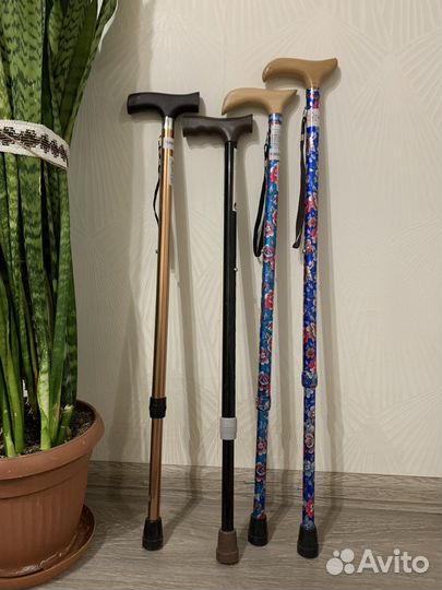 Новые трости