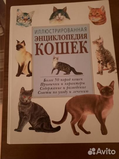 Подарочная книга