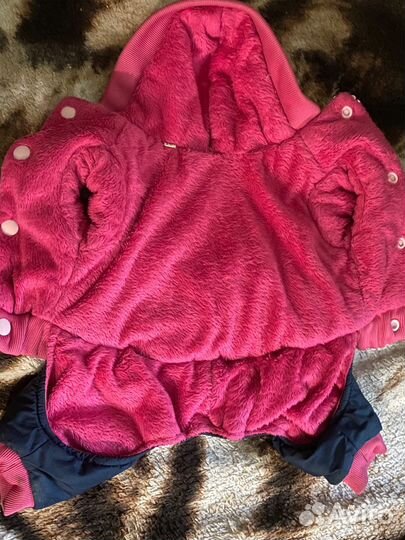 Костюмчики для собачек