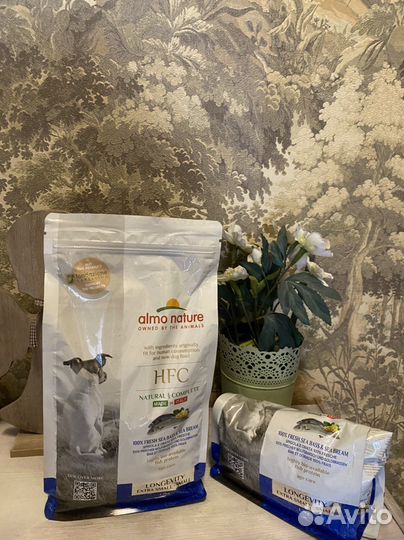 Корм для собак