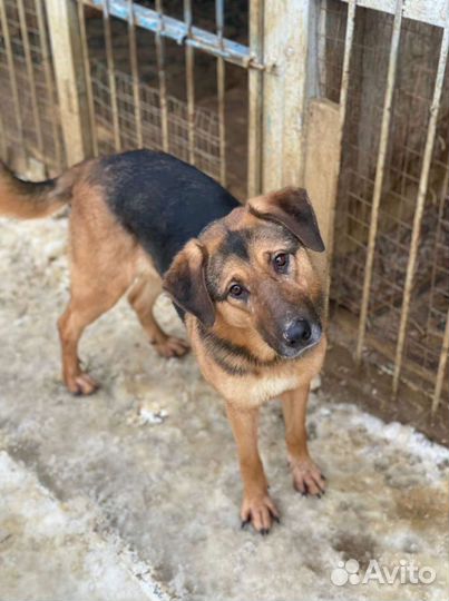 Девочка Самира