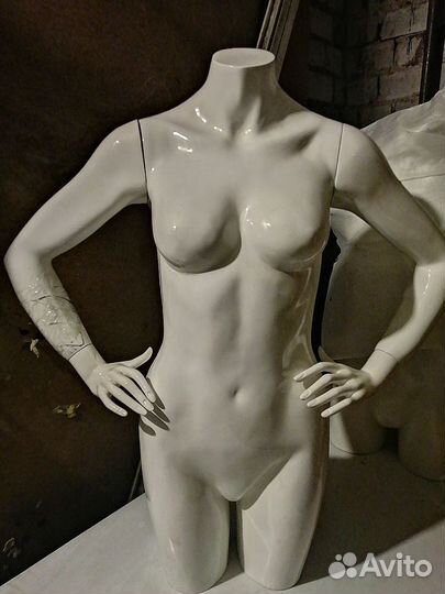 Манекен торс мужской женский