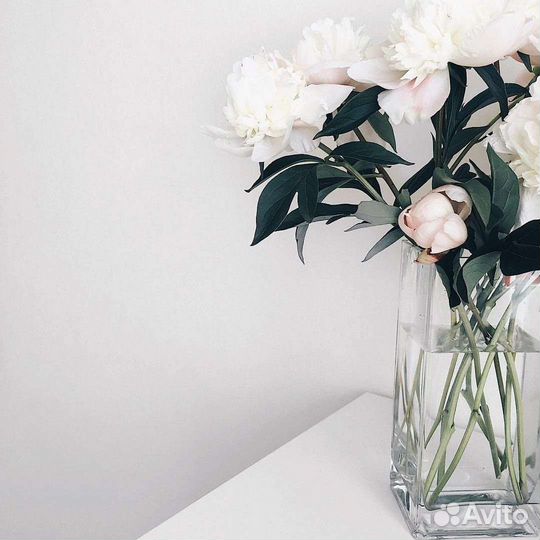 Собеседник на час