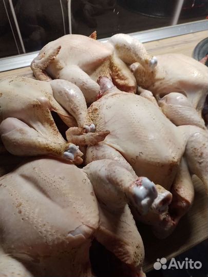 Курочка домашняя