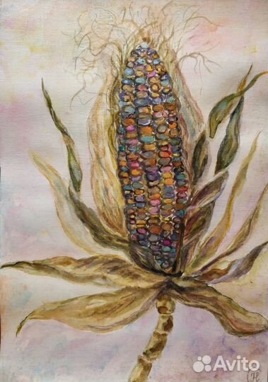 Кукуруза цветная