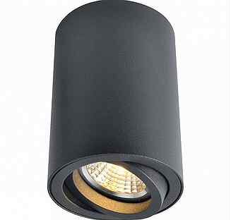 Накладной светильник Arte Lamp Sentry A1560PL-1BK