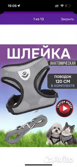 Шлейка с поводком для кошек и собак