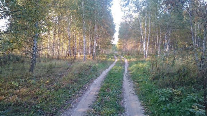 Участок 8 сот. (ИЖС)