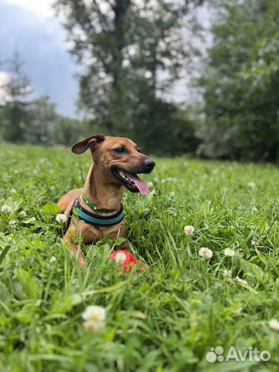 Кабель для вязки