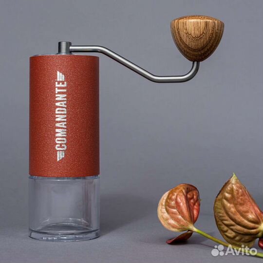 Comandante c40 mk 4 sunset