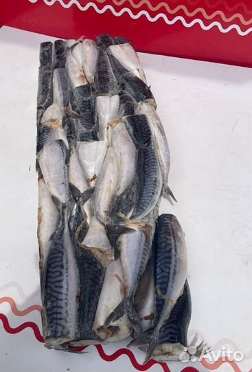 Скумбрия 200-300 гр