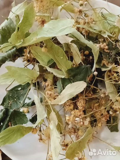 Липовый цвет