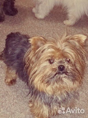 Вязка для декорашек (невест)