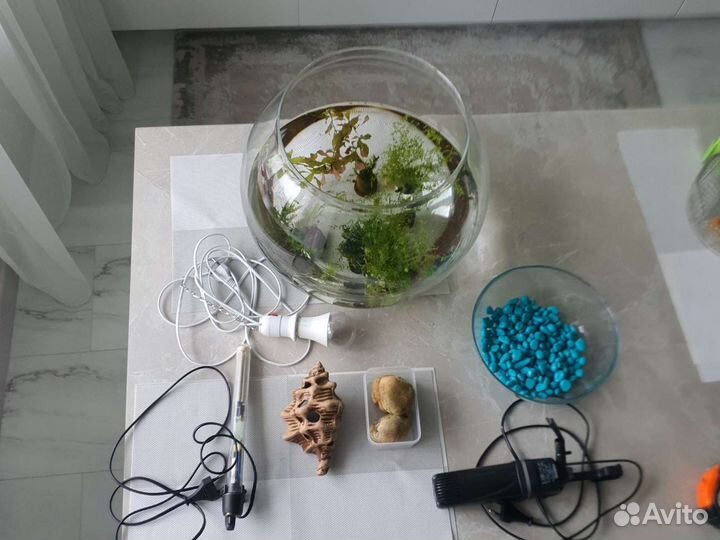 Оборудование для аквариума