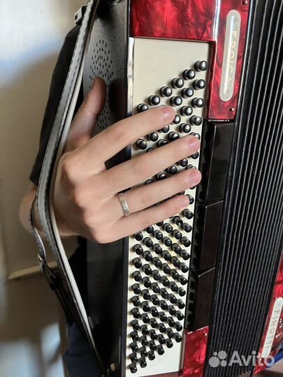 Баян немецкий