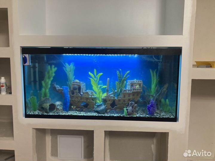 Обслуживание аквариумов