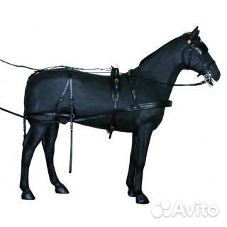 Упряж на большую пони, маленькую лошадь