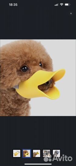 Намордник для маленькой собаки