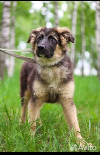 Малыш ждет маму