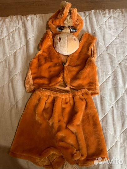 Костюм лошади