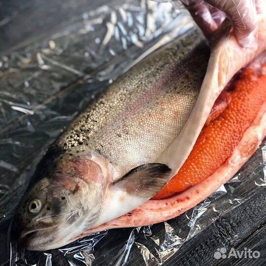 Охлажденая форель