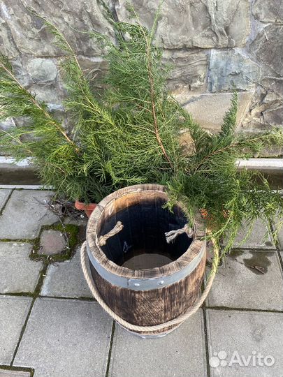 Кашпо деревянное для растений