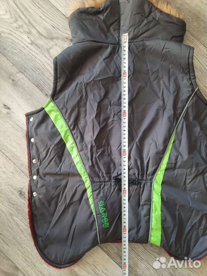 Комбинезон, шлейка trixie, ошейник для собаки