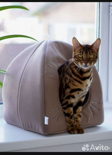 Домик для кошки