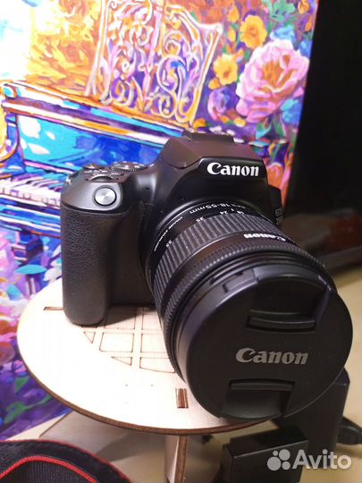 Canon EOS 250D (в полном комплекте + аксессуары)