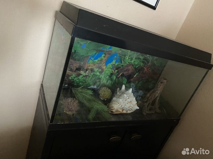 Аквариум на 100 литров