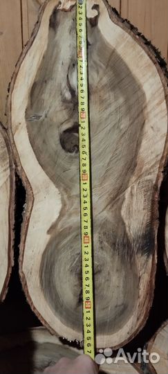 Спилы дерева вяз(карагач) дуб, акация