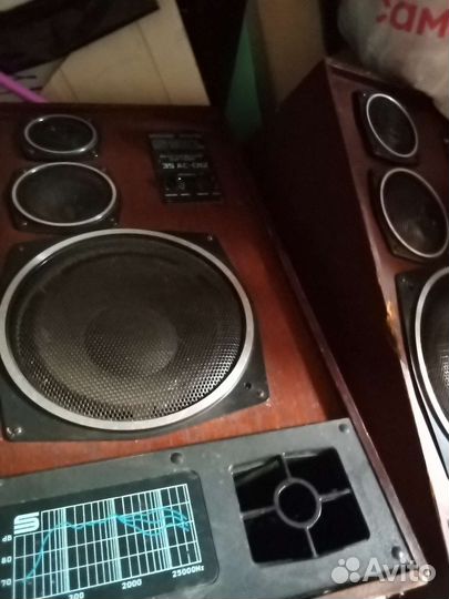 Aккустическая система Radiotehnika S-90e-Обмен