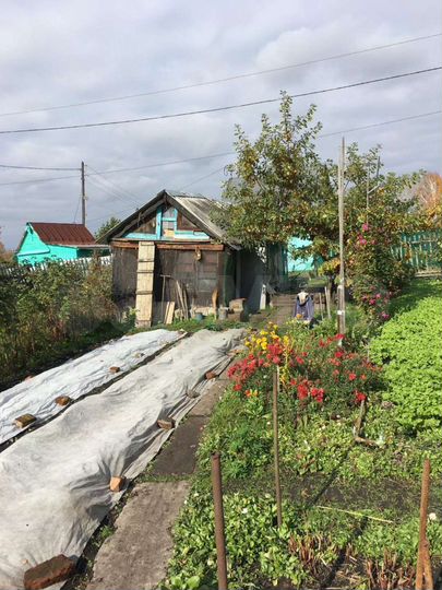 Участок 5 сот. (СНТ, ДНП)