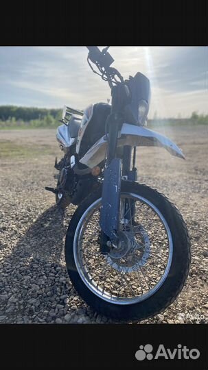 Racer panther 250